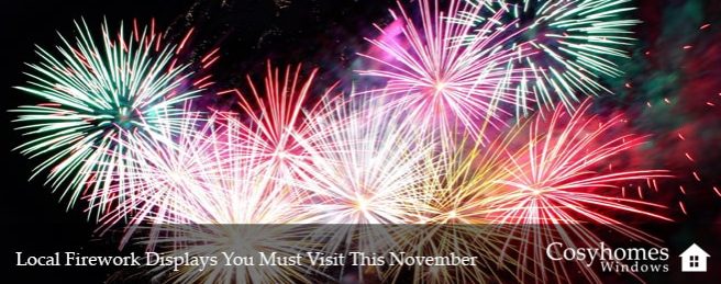 Local Firework Displays You Must Visit This November
