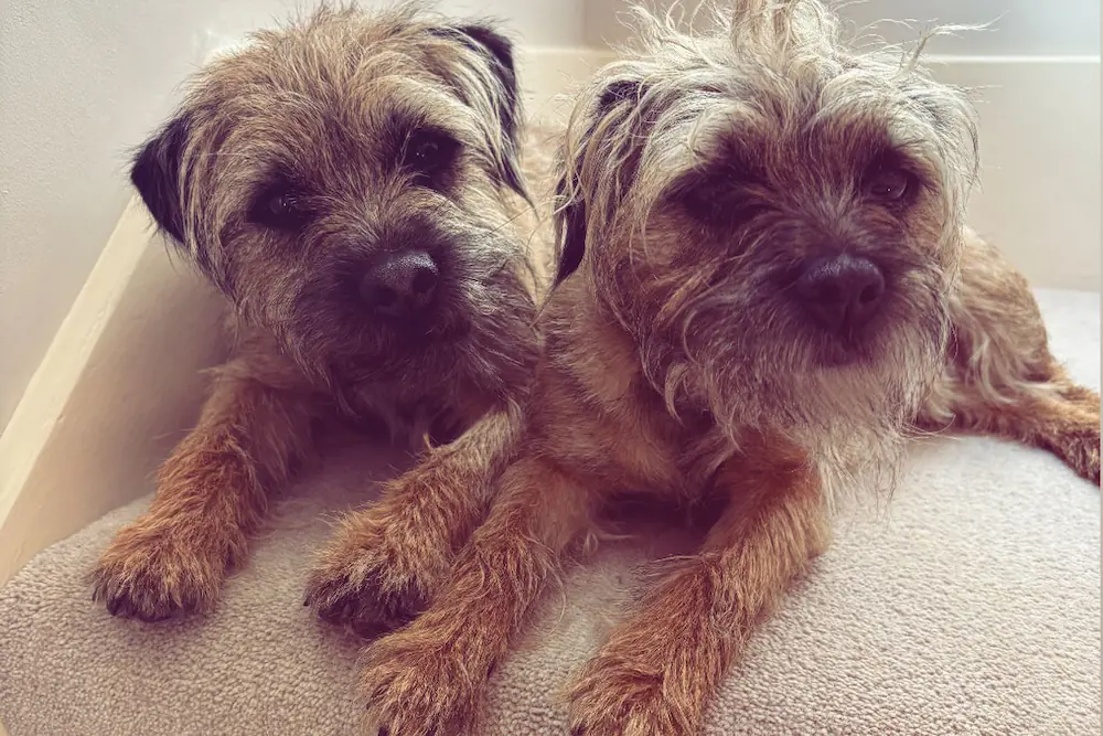 Ruby and Winston
