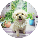 Tracey M. profile picture